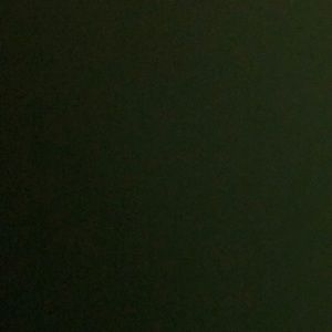 Meet your Posher, Brigitte